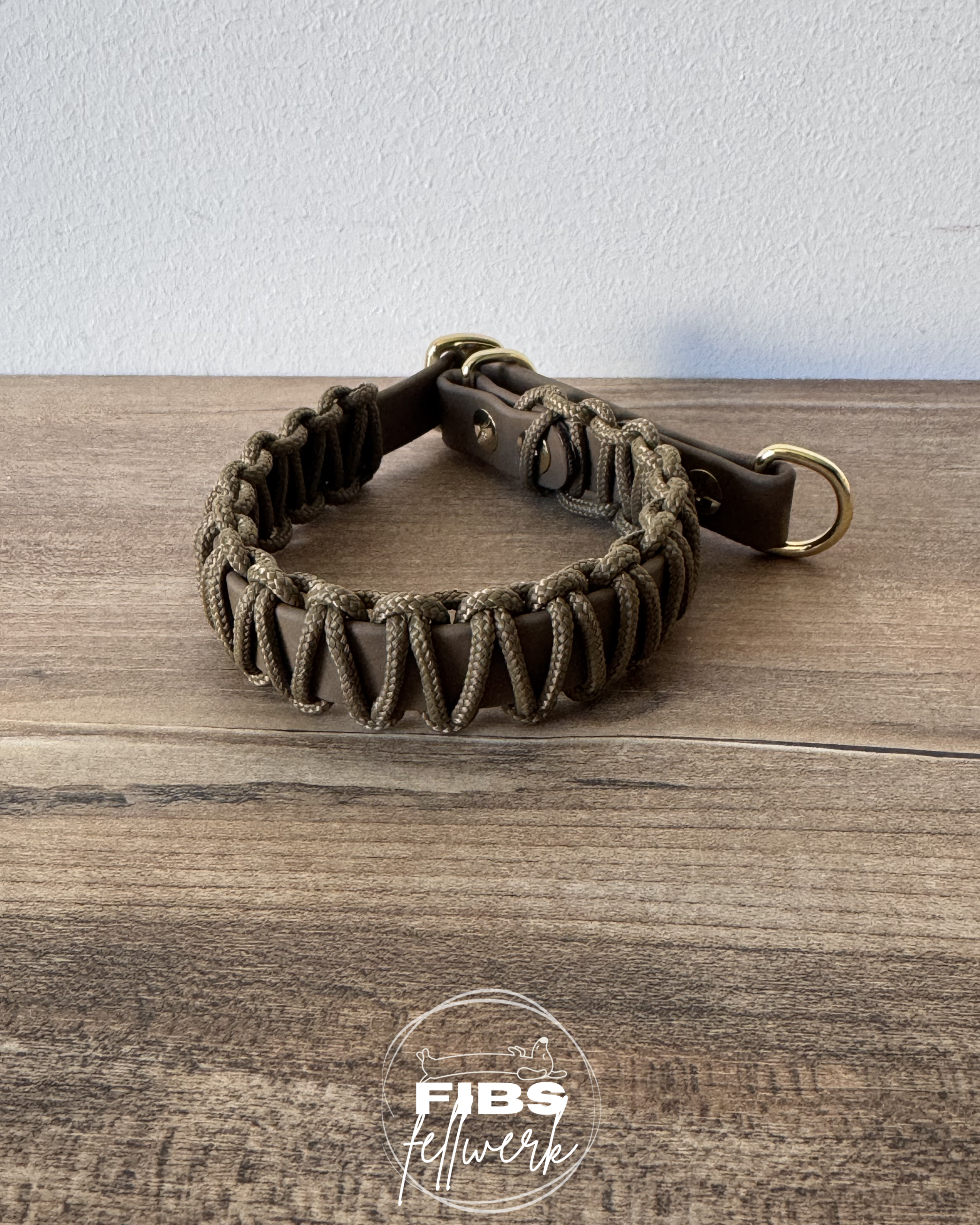 Zugstopphalsband Biothane x Paracord