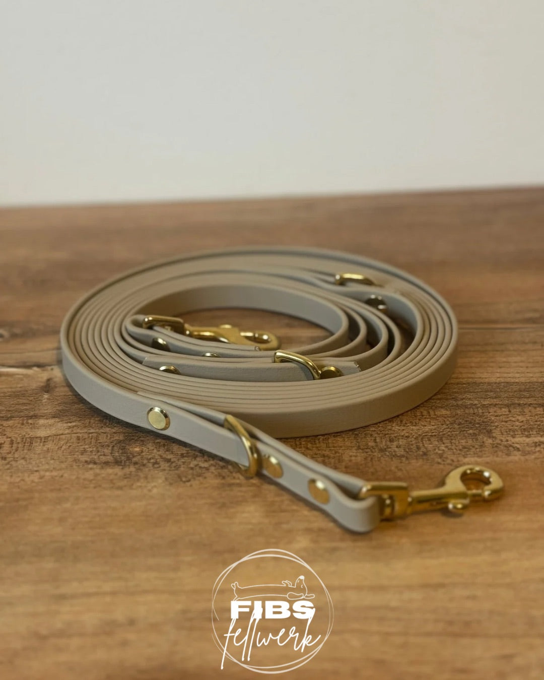 Biothane Crossbody Hundeleine