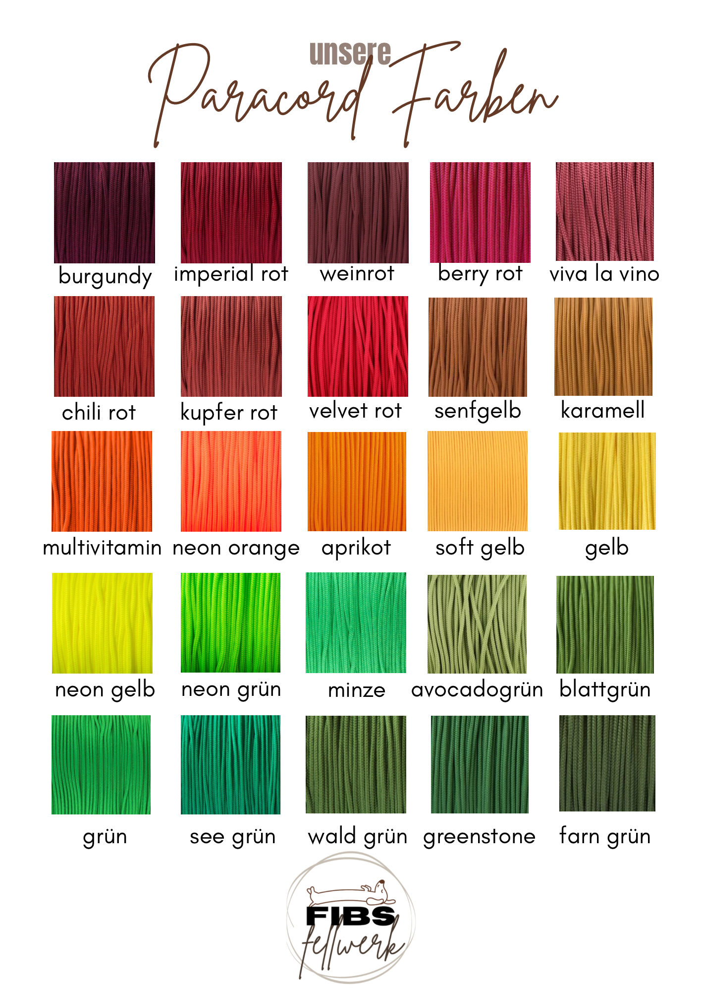 DuoLine Biothane x Paracord Halsband