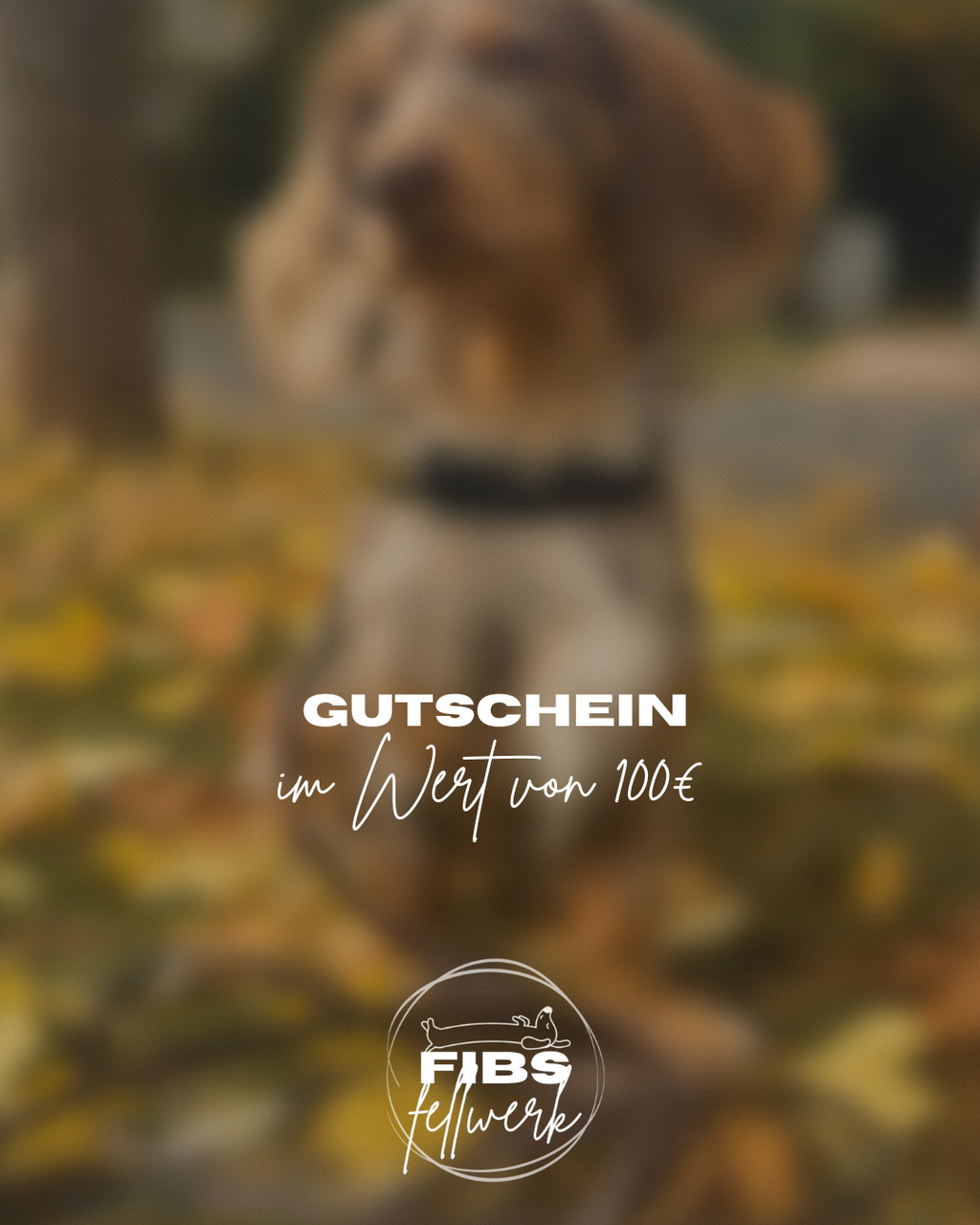 Gutschein 🤎