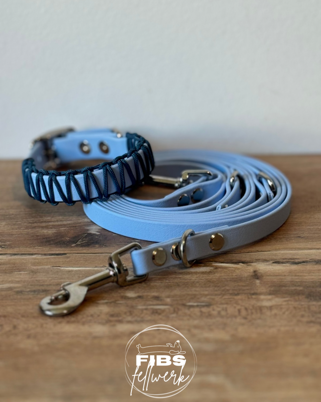 Biothane x Paracord Set - Polarblau